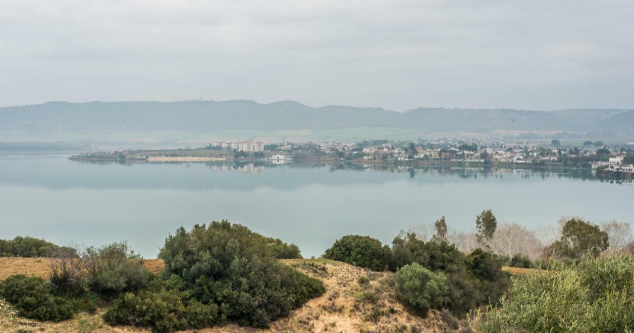 Vivienda Rural Olivar De San Telmo Arcos de la Frontera Eksteriør bilde